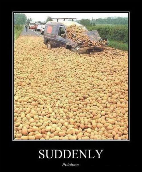 SUDDENLY Potatoes