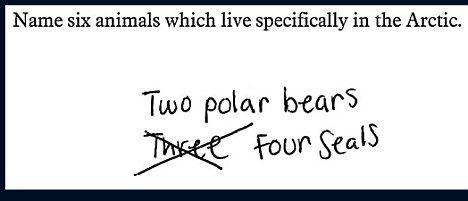 Name six animals which live specifically in the Arctic. Two polar bears Four seals