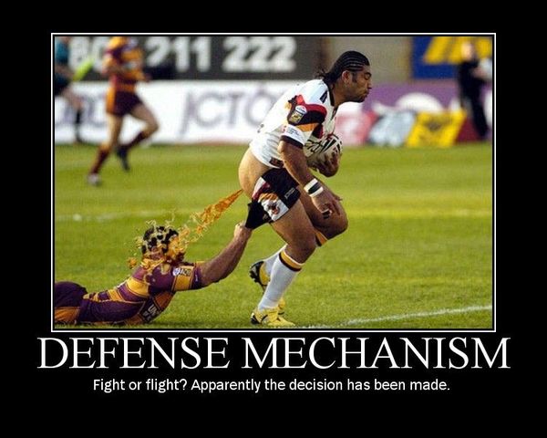 DEFENSE MECHANISM Fight or flight? Apparently the decision has been made.