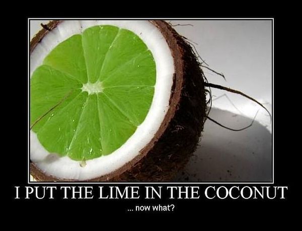 I PUT THE LIME IN THE COCONUT ... now what?