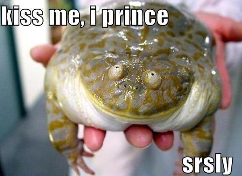 kiss me, i prince srsly
