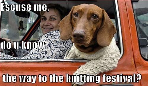 Escuse me, do u know the way to the knitting festival?