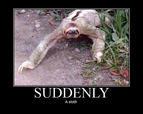 SUDDENLY A sloth