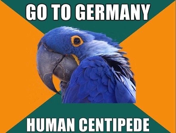 GO TO GERMANY HUMAN CENTIPEDE