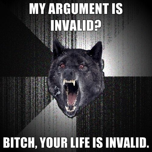 MY ARGUMENT IS INVALID? BITCH, YOUR LIFE IS INVALID.