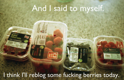 And I said to myself. I think I'll reblog some f✡✝king berries today.