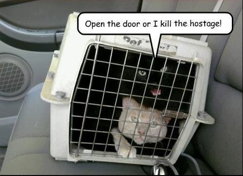 Open the door or I kill the hostage!