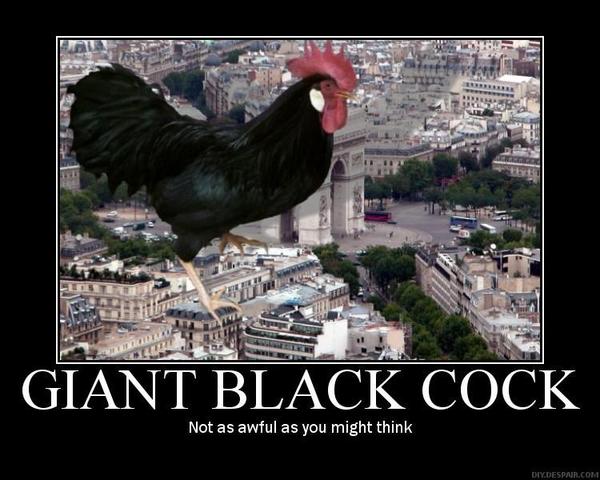 GIANT BLACK COCK
 Not as awful as you might think