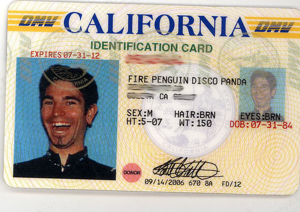 CALIFORNIA IDENTIFICATION CARD FIRE PENGUIN DISCO PANDA