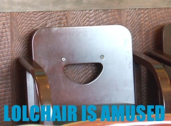 LOLCHAIR IS AMUSED