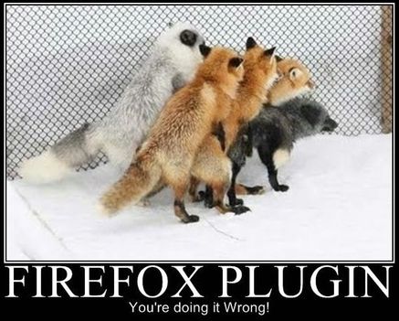 FIREFOX PLUGIN You're doing it Wrong!