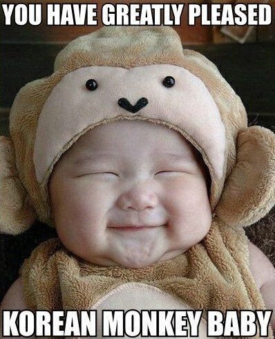 YOU HAVE GREATLY PLEASED KOREAN MONKEY BABY