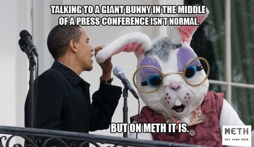 TALKING TO A GIANT BUNNY IN THE MIDDLE OF A PRESS CONFERENCE ISN'T NORMAL. BUT ON METH IT IS.