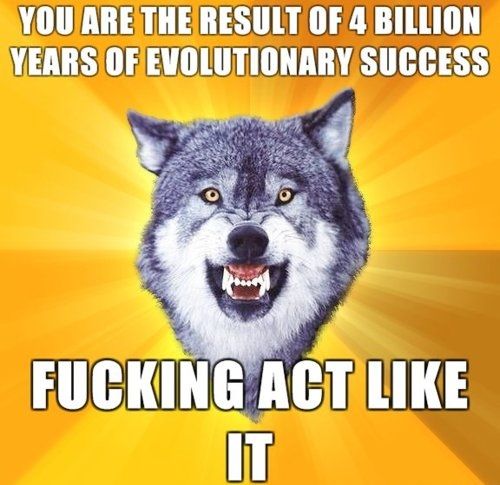 YOU ARE THE RESULT OF 4 BILLION YEARS OF EVOLUTIONARY SUCCESS F✡✝KING ACT LIKE IT