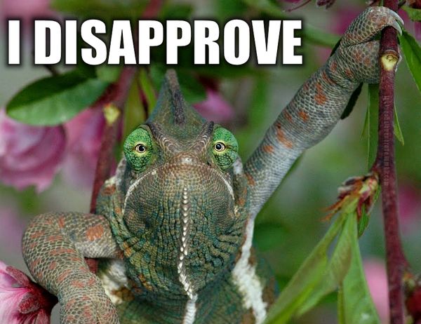 I DISAPPROVE