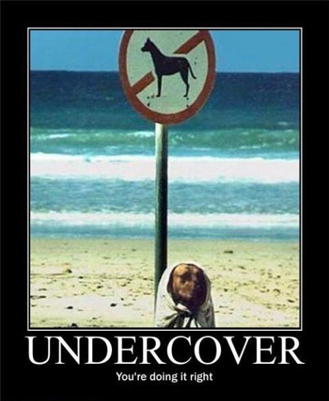 UNDERCOVER You're doing it right