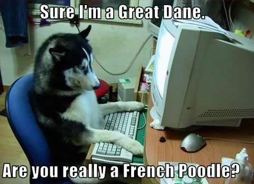 Sure I'm a Great Dane. Are you really a French Poodle?