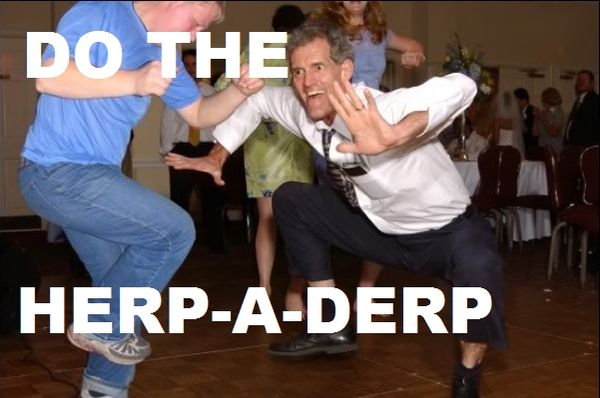 DO THE HERP-A-DERP
