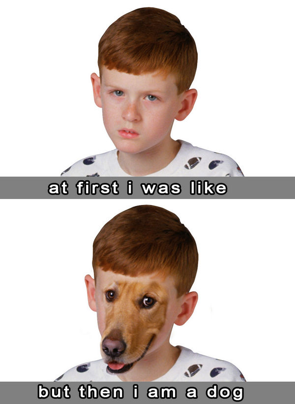 at first i was like but then i am a dog