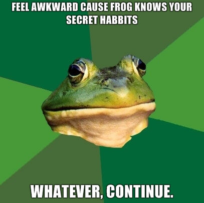 FEEL AWKWARD CAUSE FROG KNOWS YOUR SECRET HABITS WHATEVER, CONTINUE.