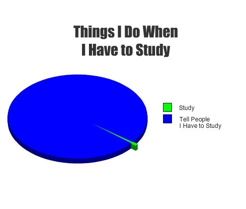 Things I Do When I Have to Study Study Tell People I Have to Study