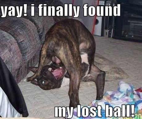 yay! i finally found my lost ball!