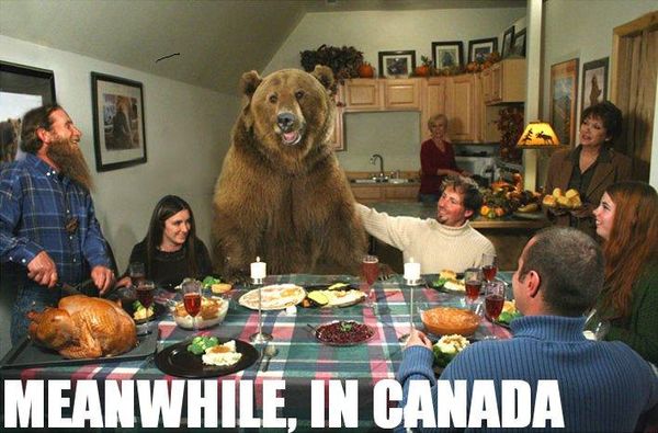 MEANWHILE, IN CANADA