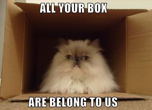 ALL YOUR BOX ARE BELONG TO US