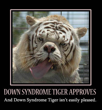 DOWN SYNDROME TIGER APPROVES And Down Syndrome Tiger isn't easily pleased.
