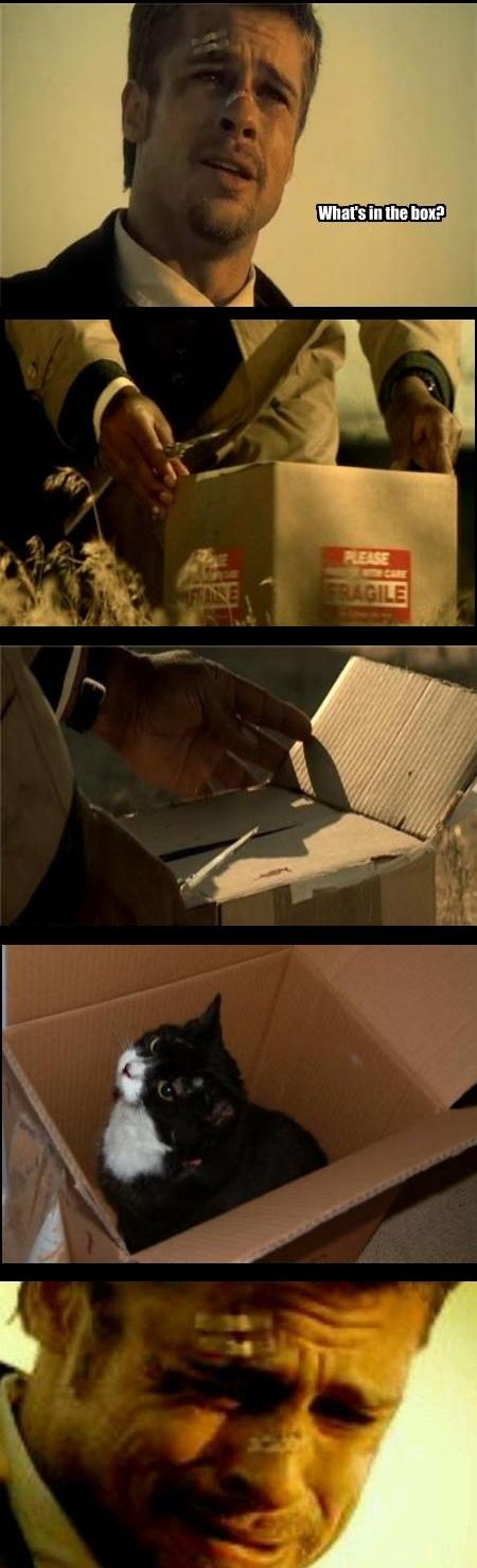 What's in the box? FRAGILE