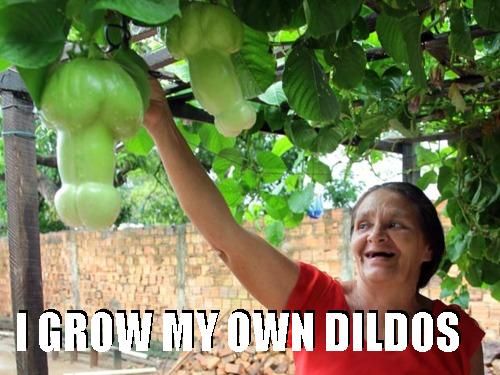I GROW MY OWN DILDOS