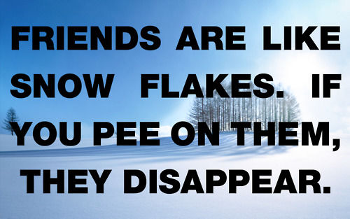 FRIENDS ARE LIKE SNOW FLAKES. IF YOU PEE ON THEM, THEY DISAPPEAR.
