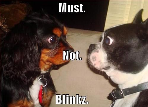 Must. Not. Blinkz.