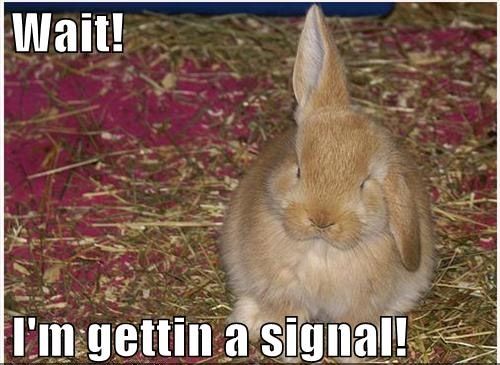 Wait! I'm gettin a signal!