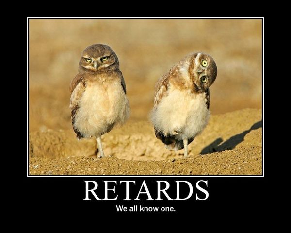 RETARDS We all know one.