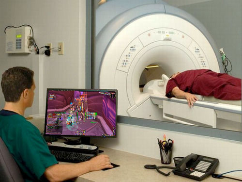 brain tomography