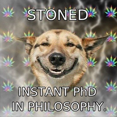 STONED INSTANT PhD IN PHILOSOPHY.