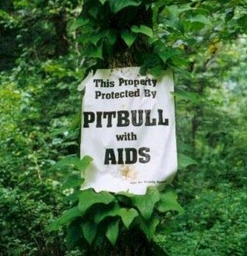 This Property Protected By PITBULL with AIDS