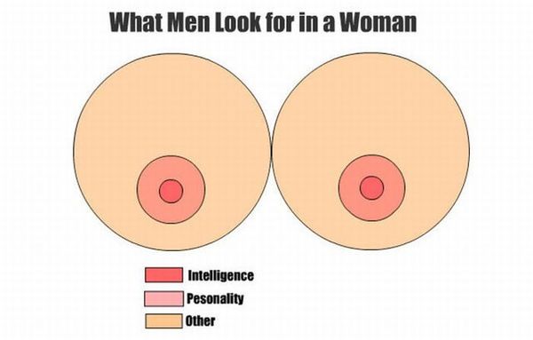 What Men Look for in a Woman Intelligence Personality Other
