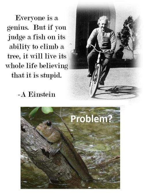 Everyone is a genius. But if you judge a fish on tis ability to climb a tree, it will live its whole life believing that it is stupid. - A Einstein Problem?
