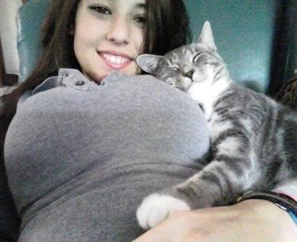 lolcat