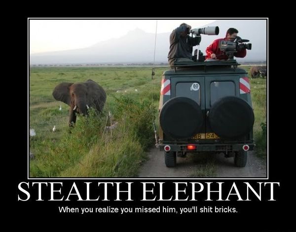 STEALTH ELEPHANT When you realize you missed him, you'll shit bricks.