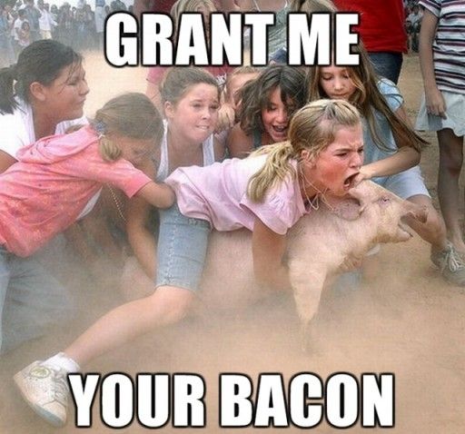 GRANT ME YOUR BACON