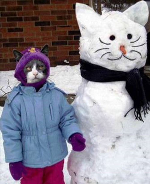 cat snowman nonsense