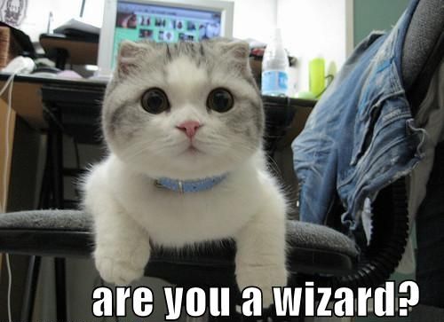 are you a wizard?