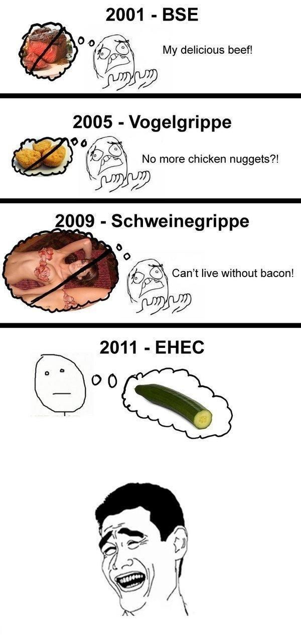 2001 - BSE 2005 - Vogelgrippe 2009 - Schweinegrippe 2011 - EHEC