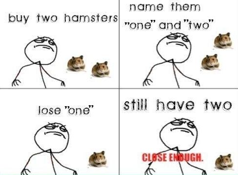 buy two hamsters name them 'one' and 'two' lose 'one' still have two CLOSE ENOUGH.