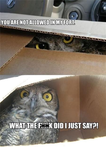 YOU ARE NOT ALLOWED IN MY FORT. WHAT THE F**K DID I JUST SAY?!