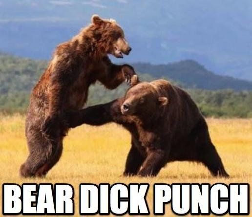 BEAR DICK PUNCH