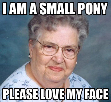 I AM A SMALL PONY PLEASE LOVE ME FACE